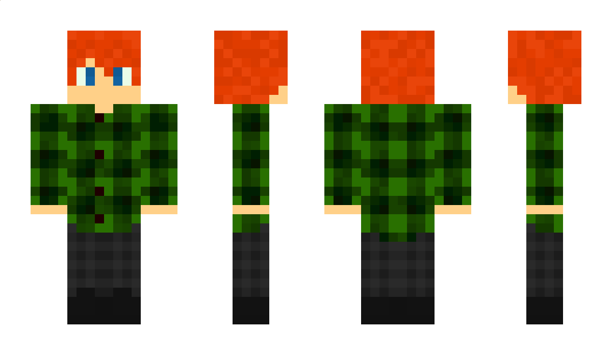 Gassel20 Minecraft Skin