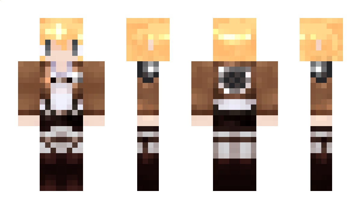 sannji Minecraft Skin