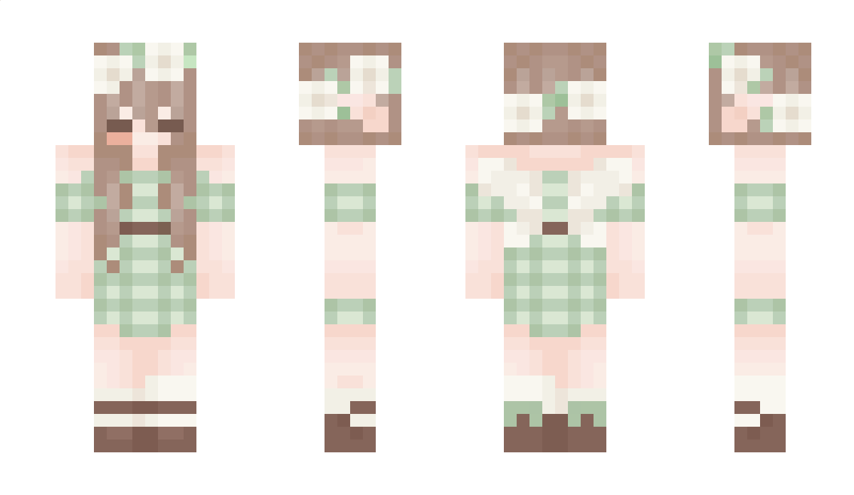 liinka Minecraft Skin