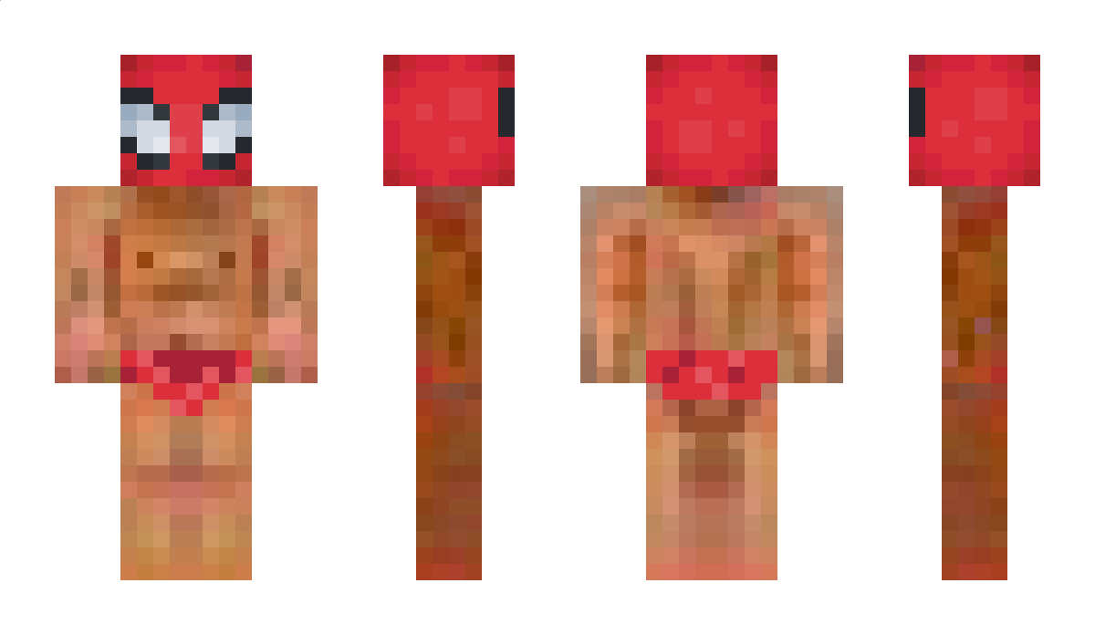 TTom2121 Minecraft Skin