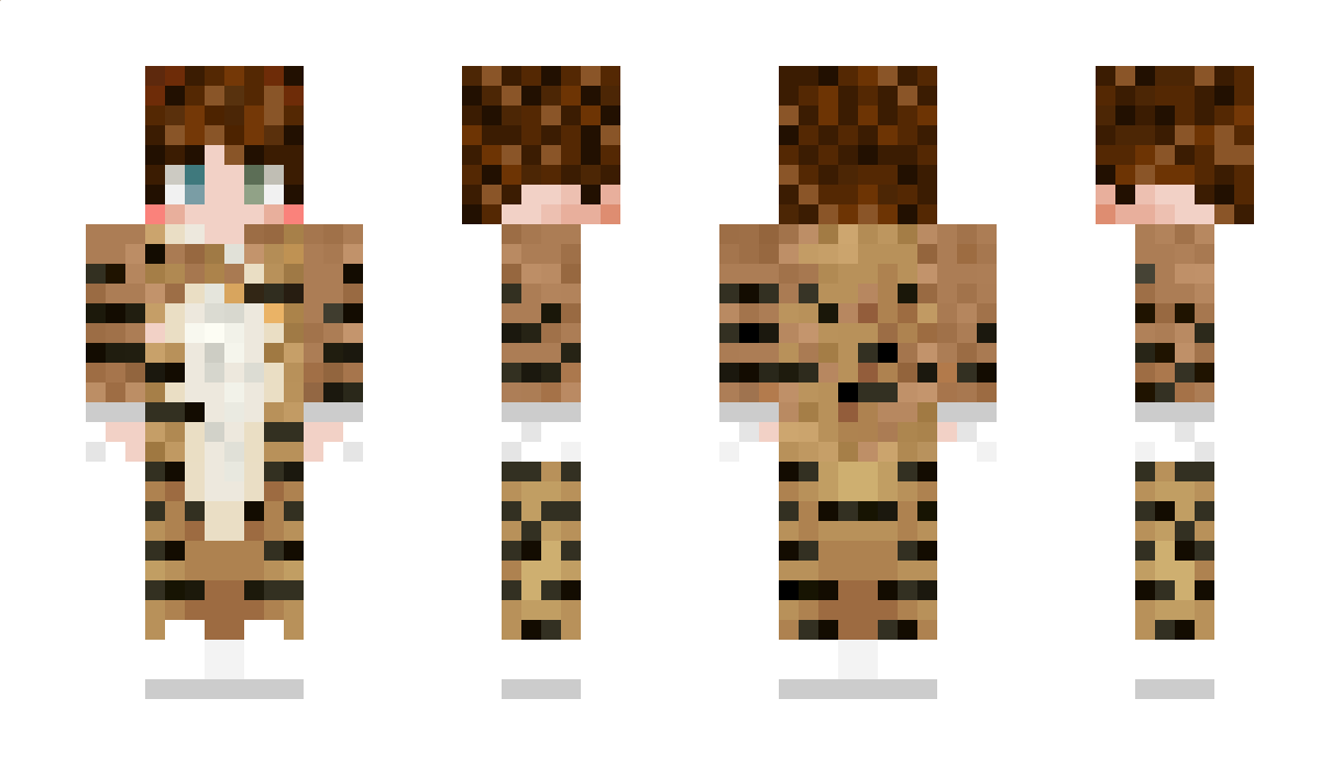 SpaceJamSocks Minecraft Skin