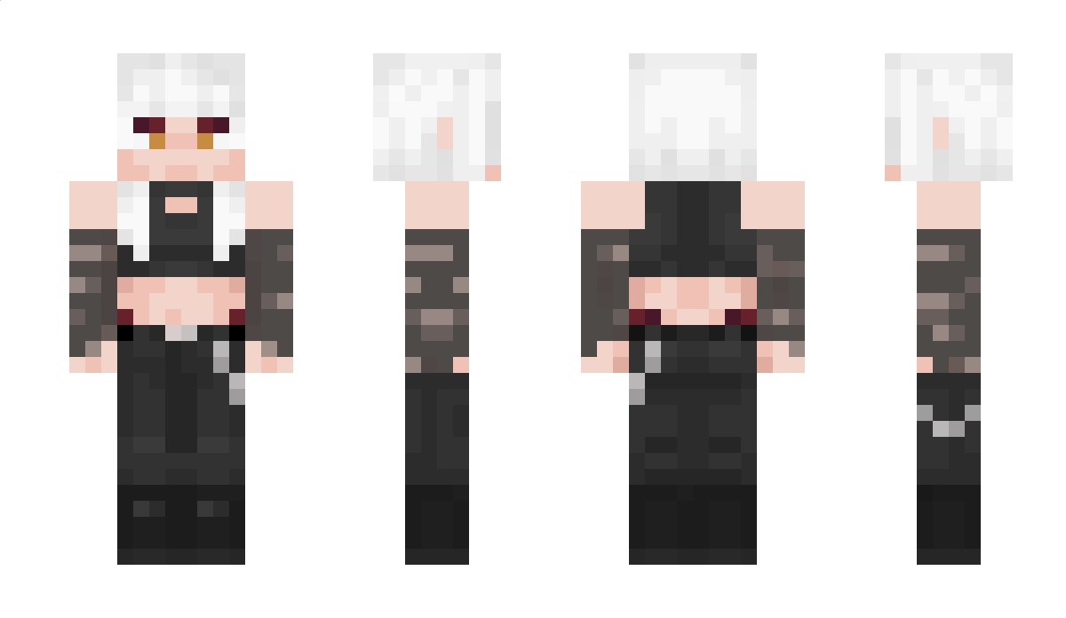 Vinyl_FR Minecraft Skin