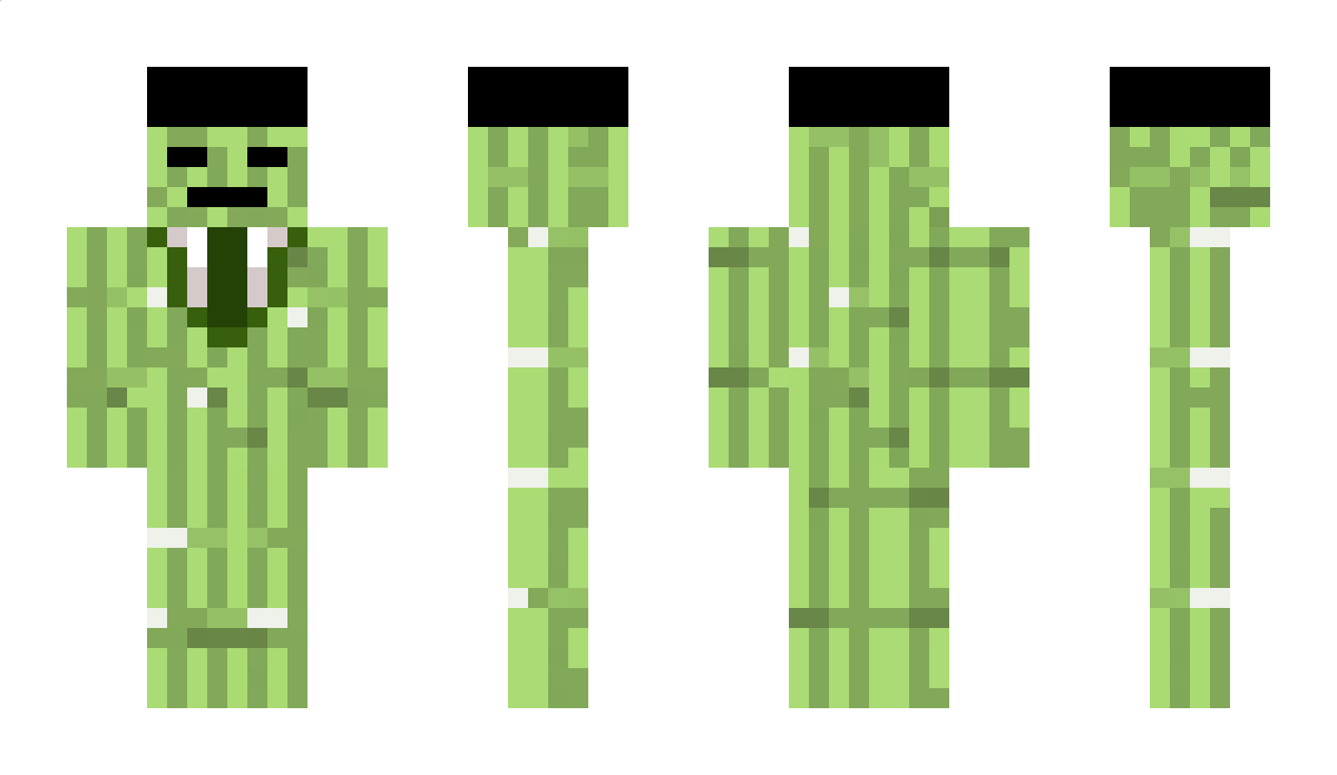 Mrtwocane Minecraft Skin