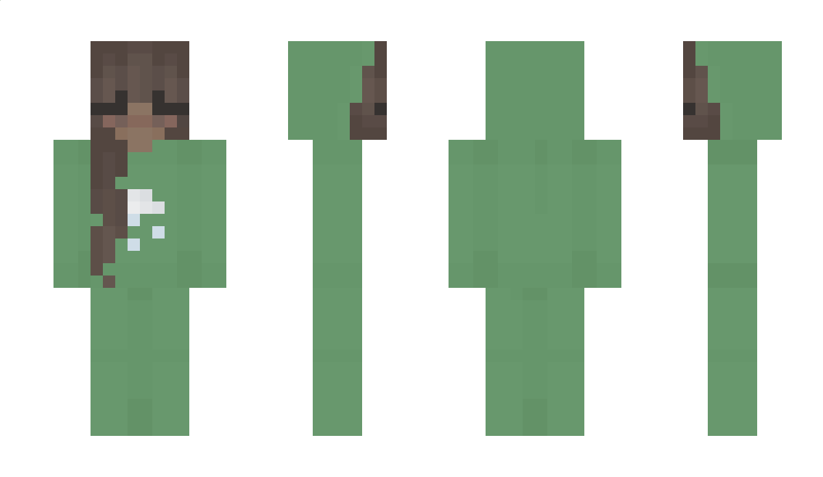 doanld Minecraft Skin