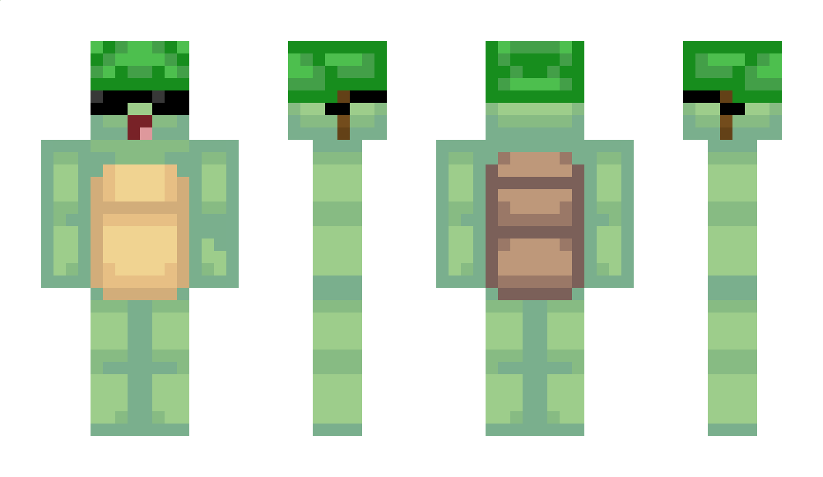 ImScawyTurtle Minecraft Skin