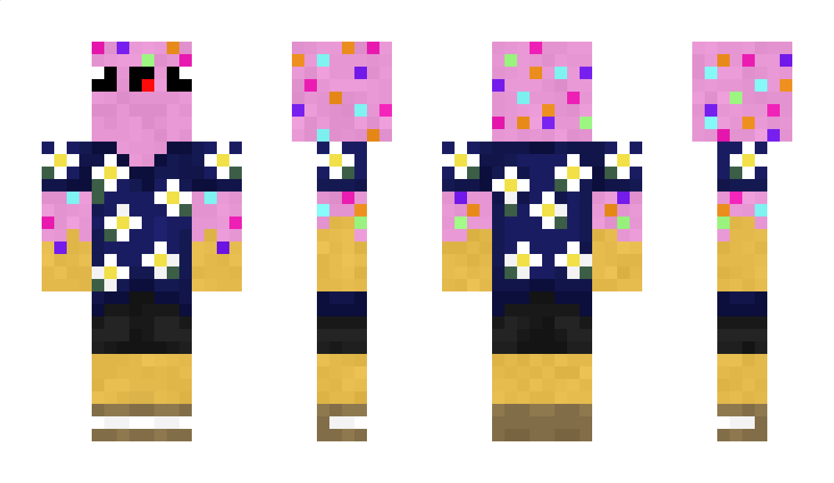 NitashiYT Minecraft Skin