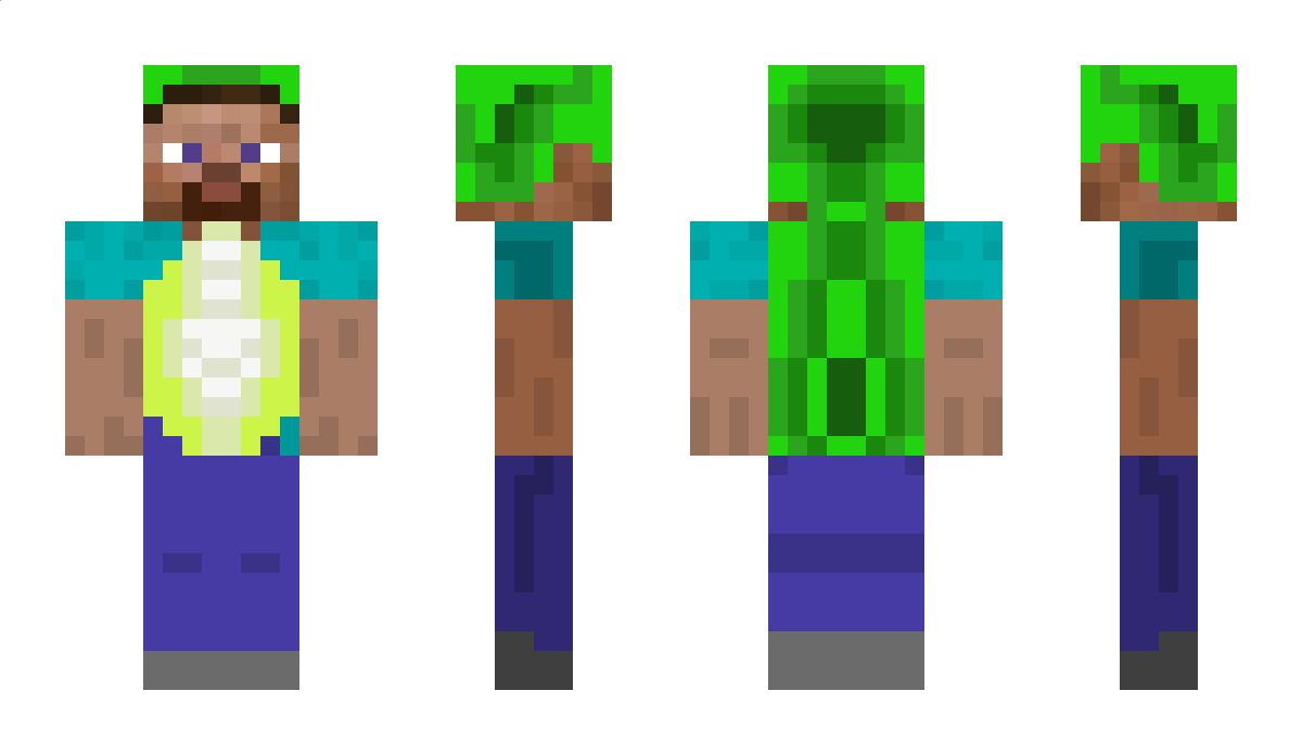 itssturtles Minecraft Skin