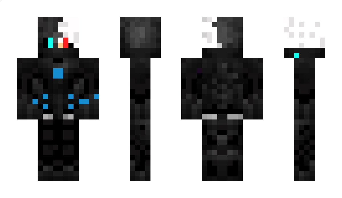 FAAC Minecraft Skin