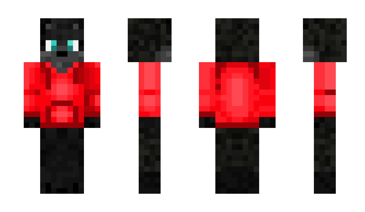 TheShadowWolf209 Minecraft Skin