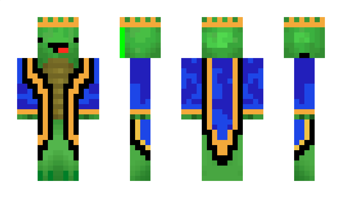 TurtleMaster88 Minecraft Skin