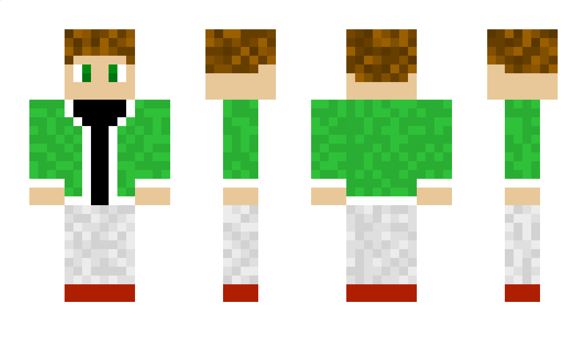 LeHe21 Minecraft Skin