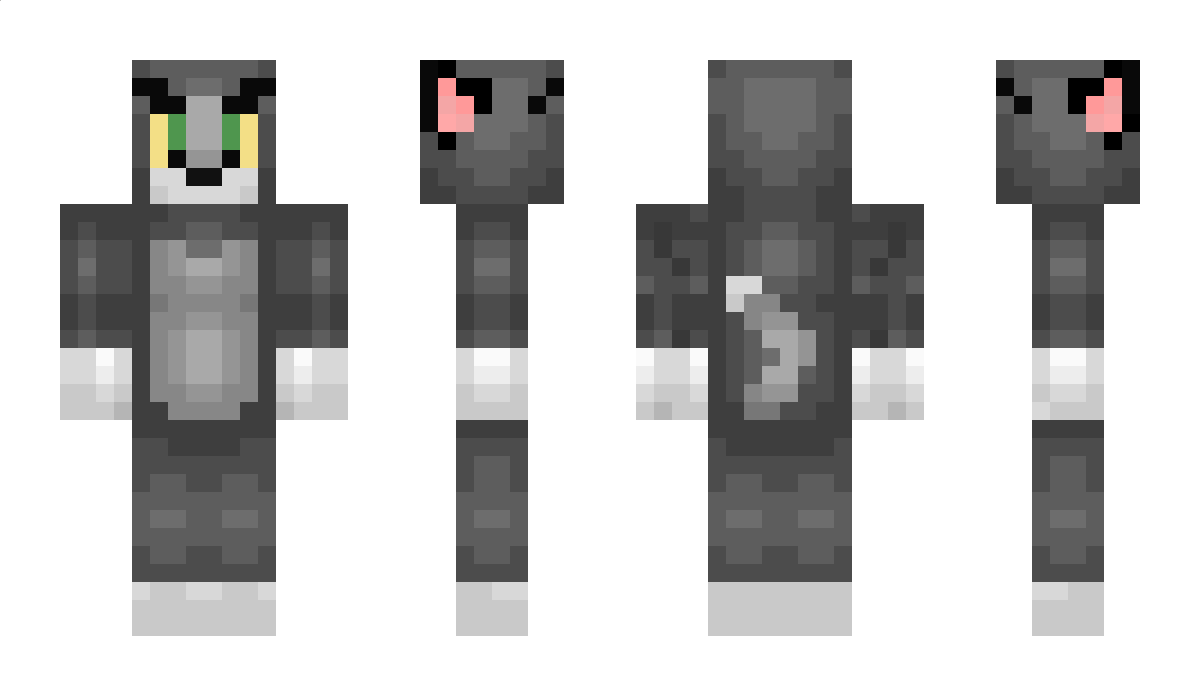 acd Minecraft Skin