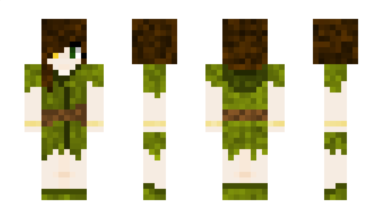 MerlinDK99 Minecraft Skin