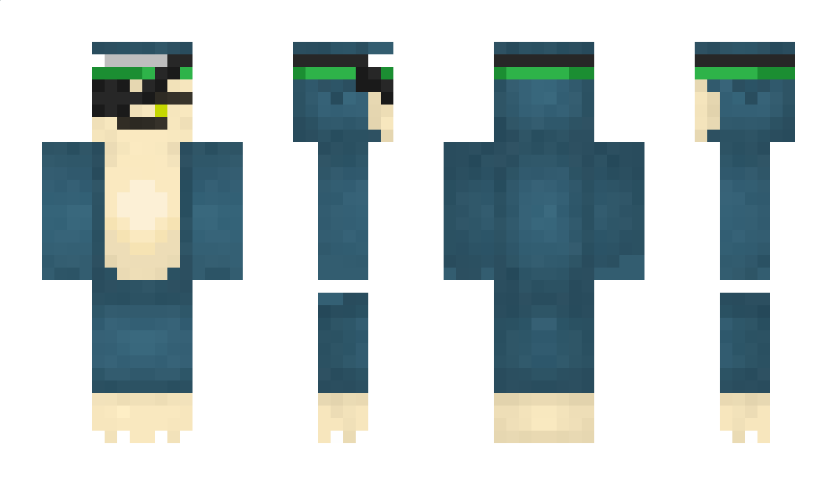 hedgetube Minecraft Skin