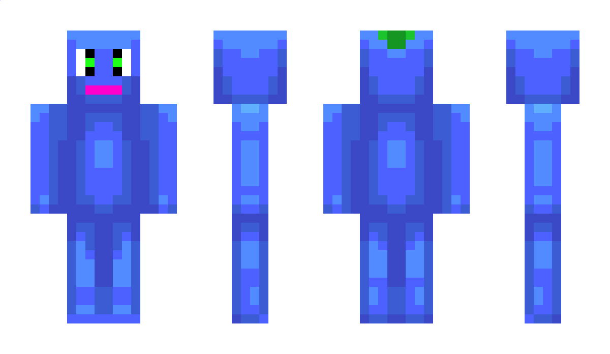 Grassy311 Minecraft Skin