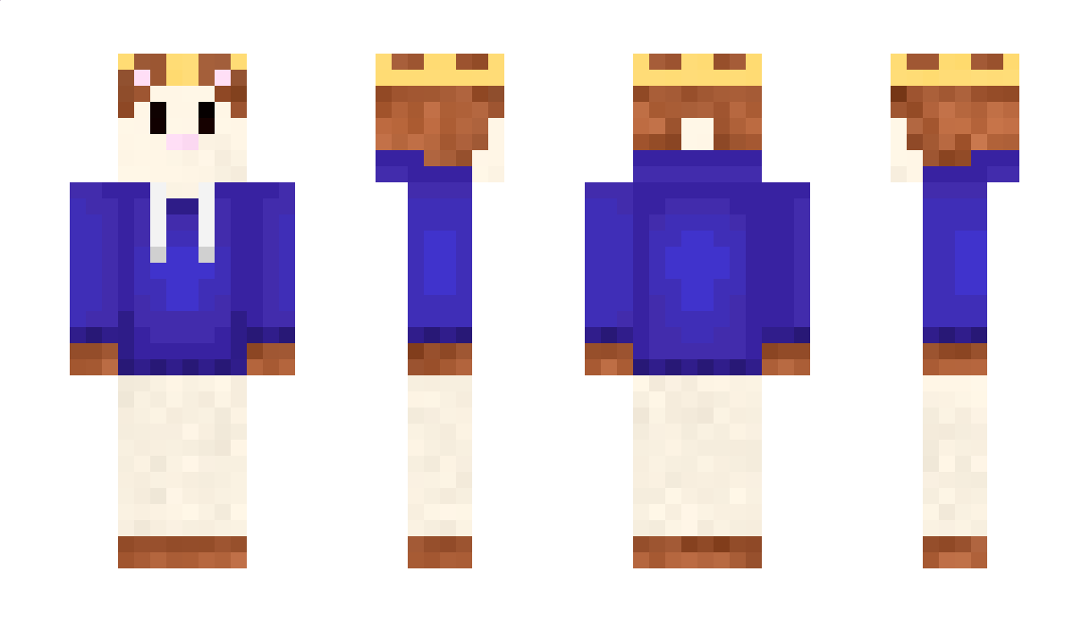 PlooshMan Minecraft Skin