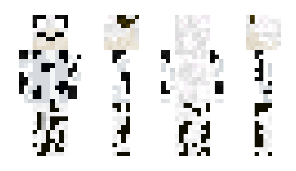 PandaARG Minecraft Skin