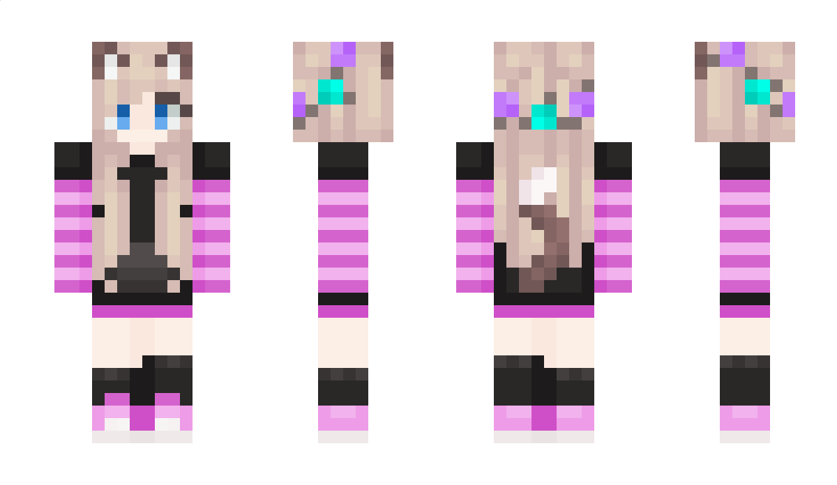 lion0101 Minecraft Skin