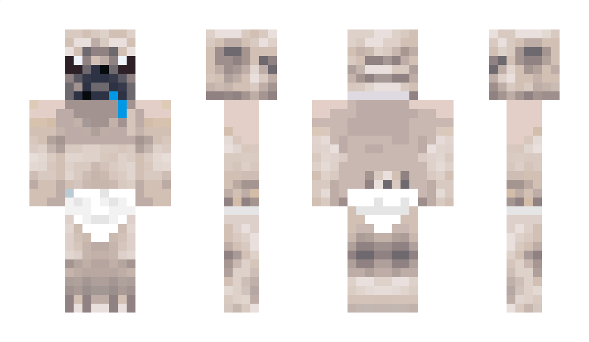 SuperPugy Minecraft Skin