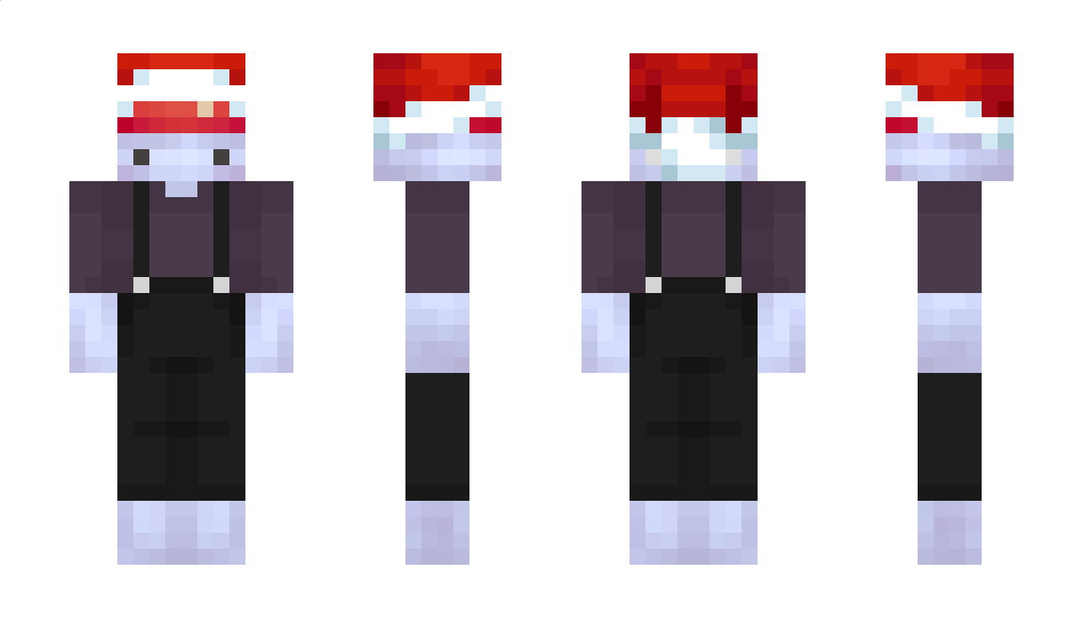 erdna2013 Minecraft Skin