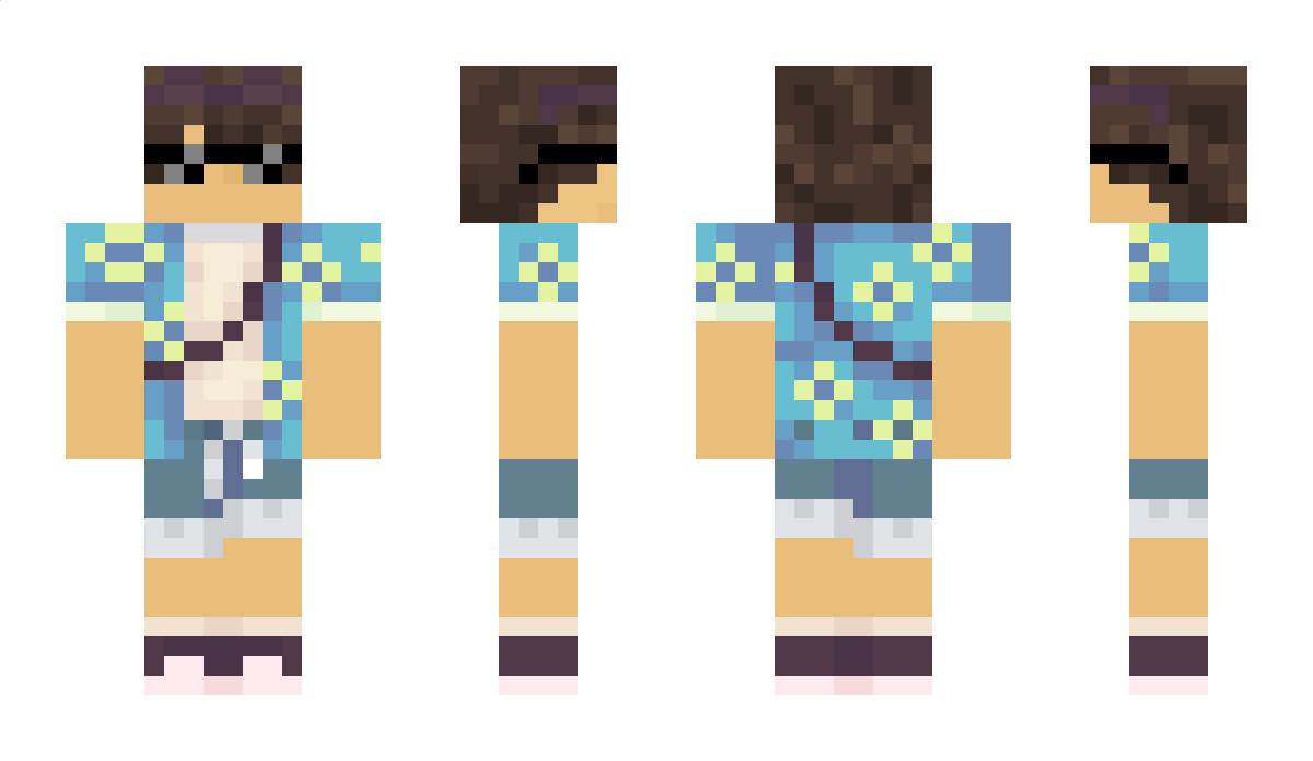 SD69 Minecraft Skin