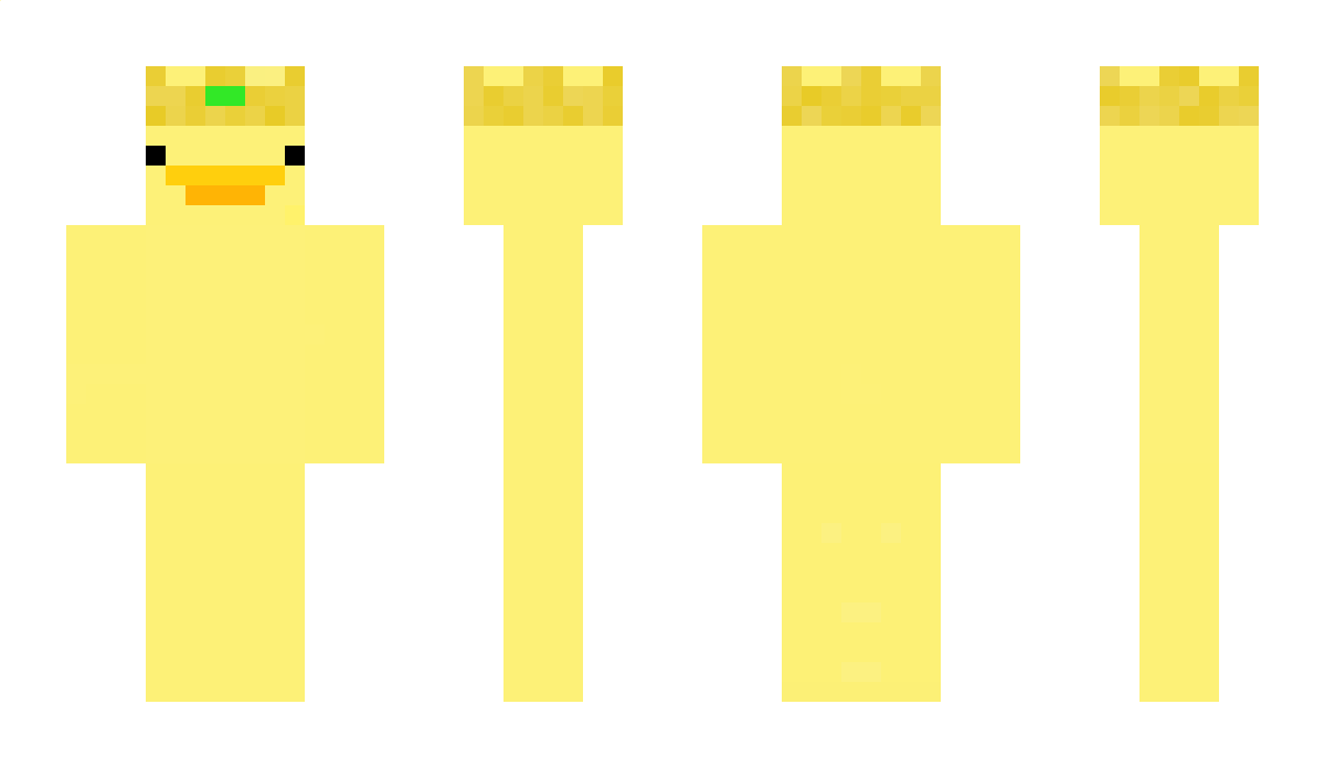 QuacksYerBoi Minecraft Skin