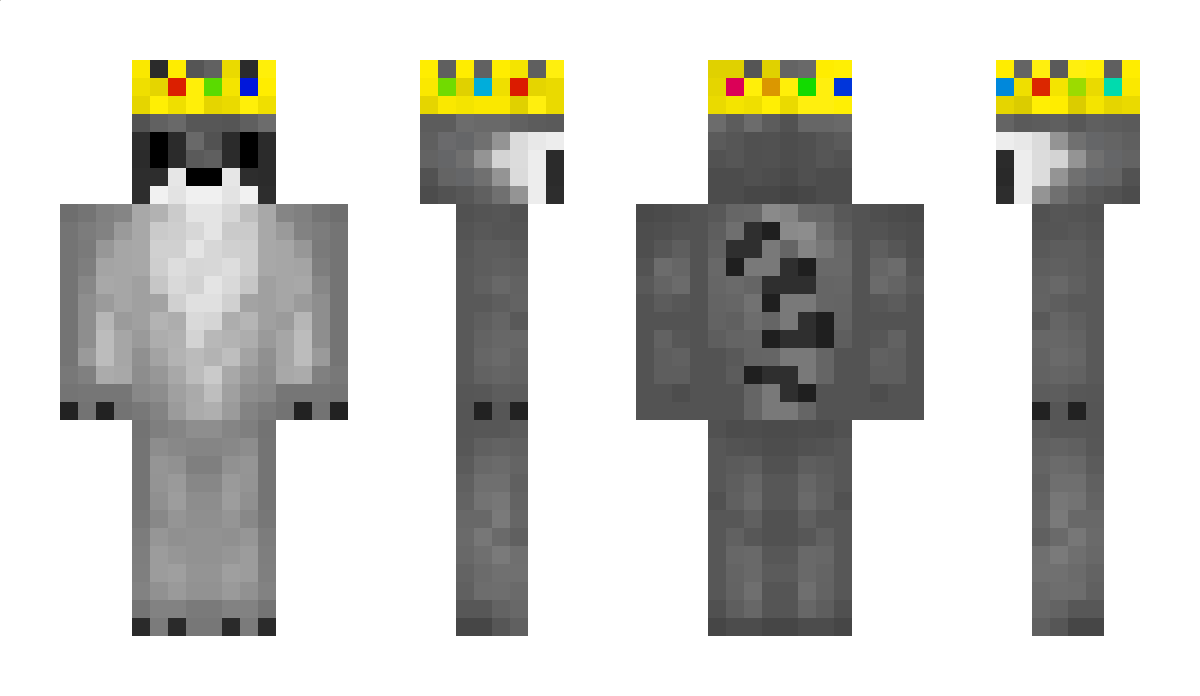 RacoonTM Minecraft Skin