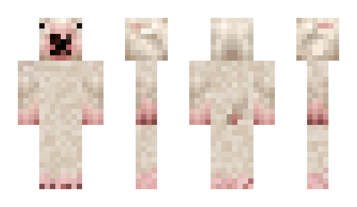 GameChanger Minecraft Skin