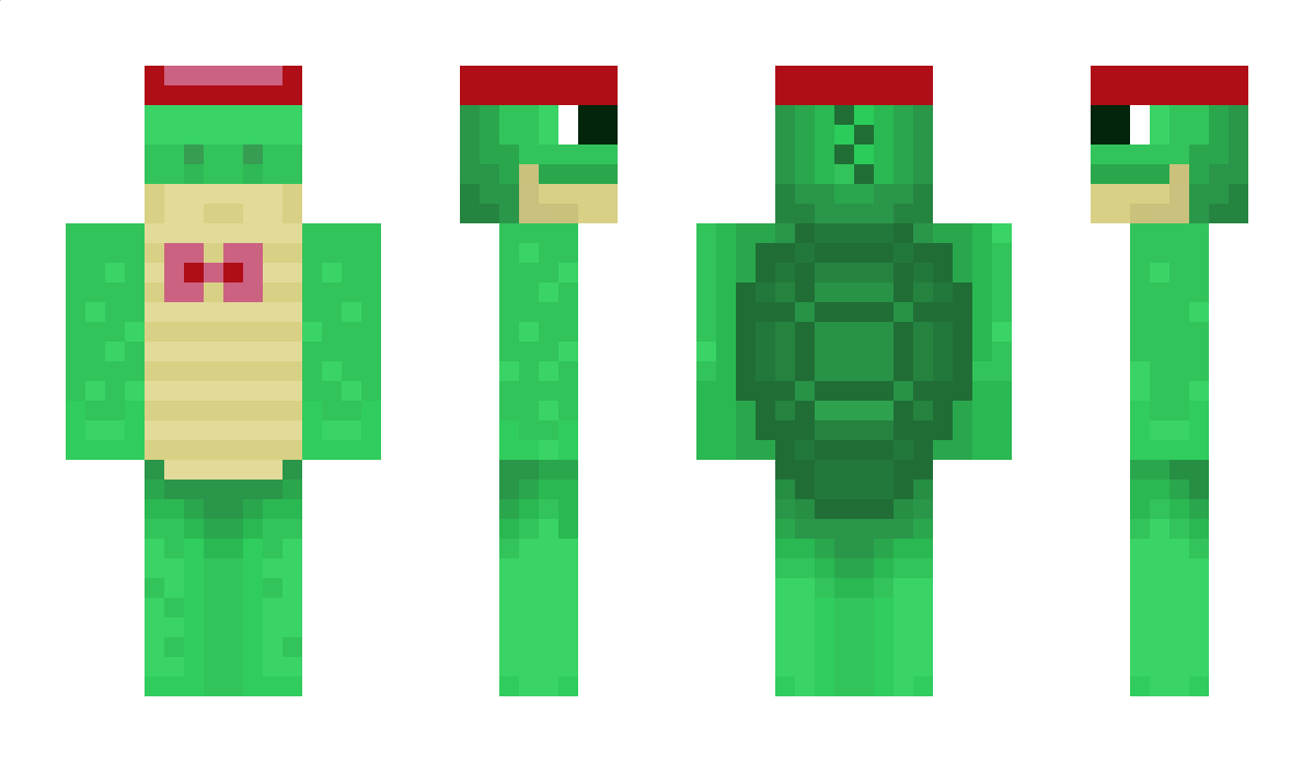 CometTurtle Minecraft Skin