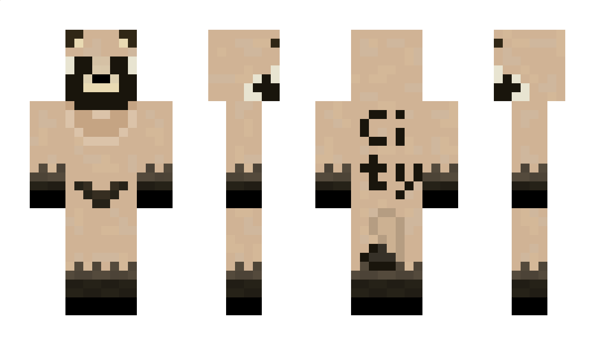 CITY_TANUKI Minecraft Skin