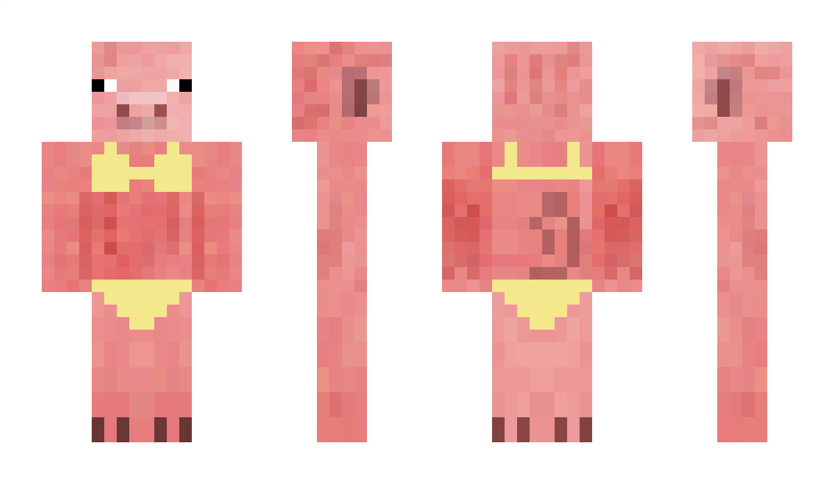 Elniepa Minecraft Skin