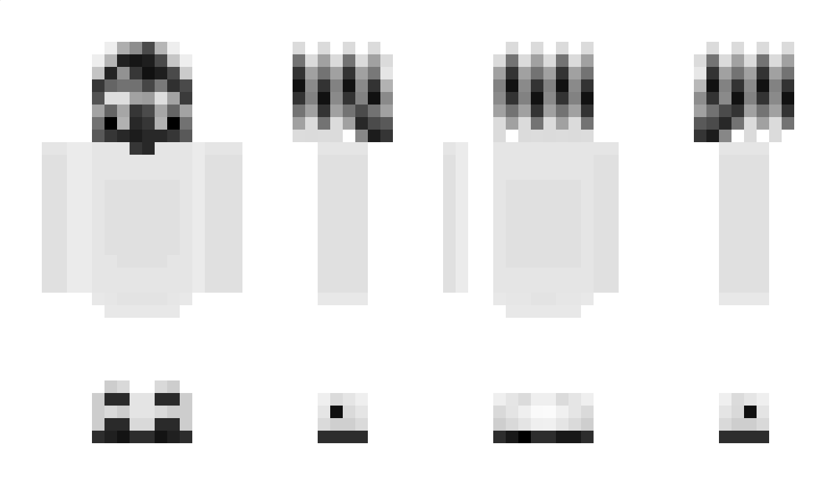 20a Minecraft Skin