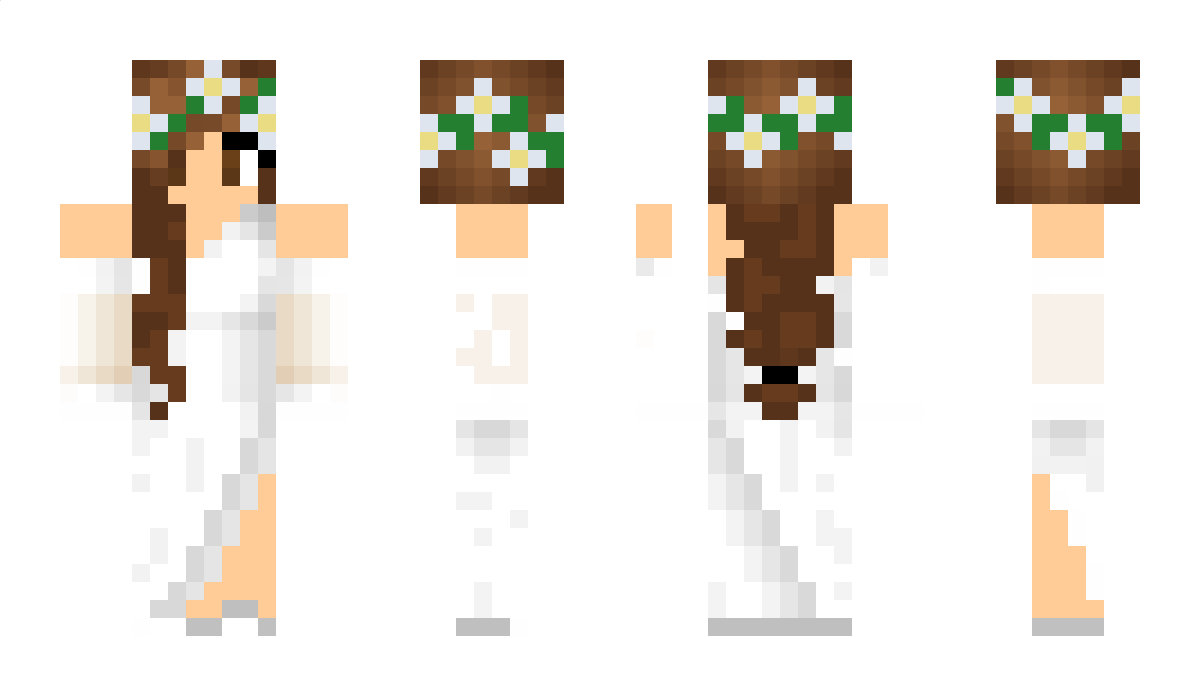 Phoenixspace Minecraft Skin