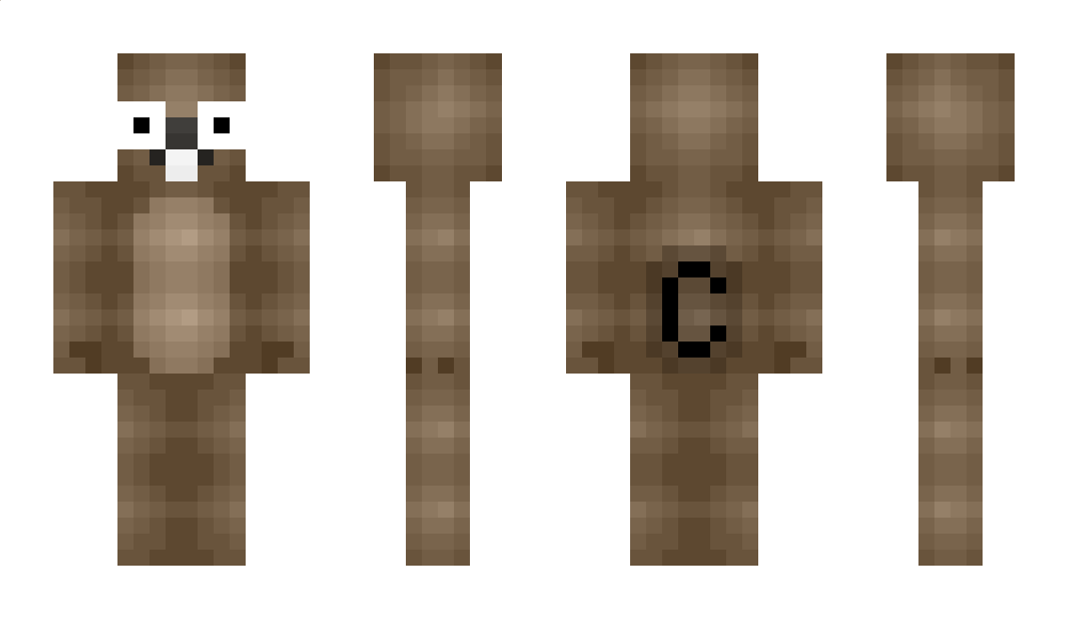 Fogo Minecraft Skin