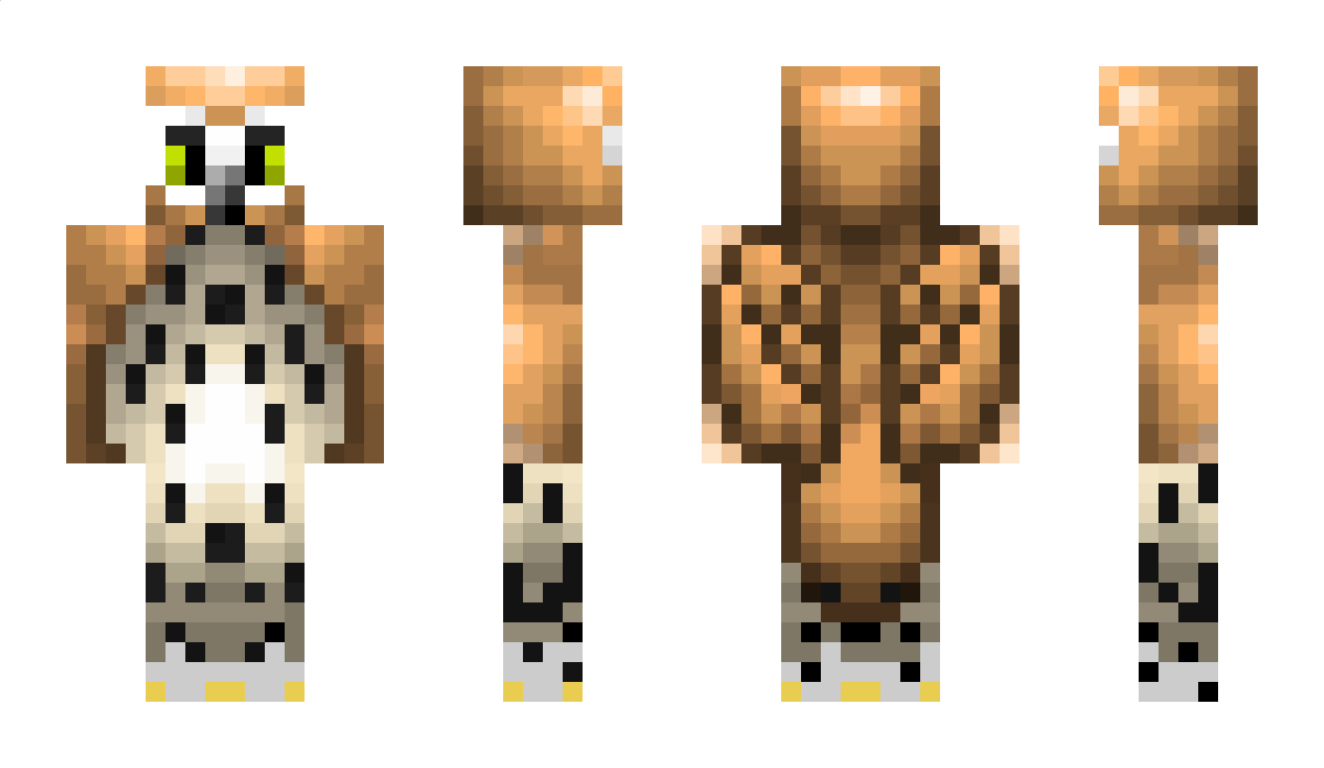 StormyOwl357 Minecraft Skin