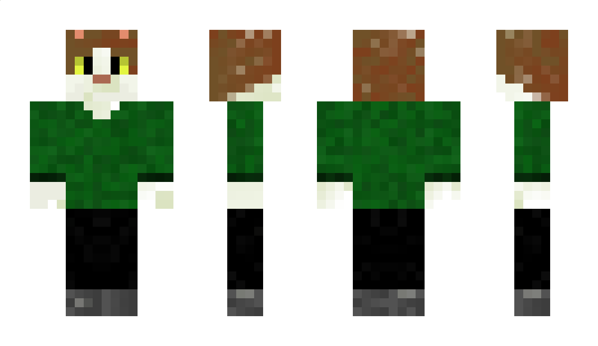 Dwibs Minecraft Skin