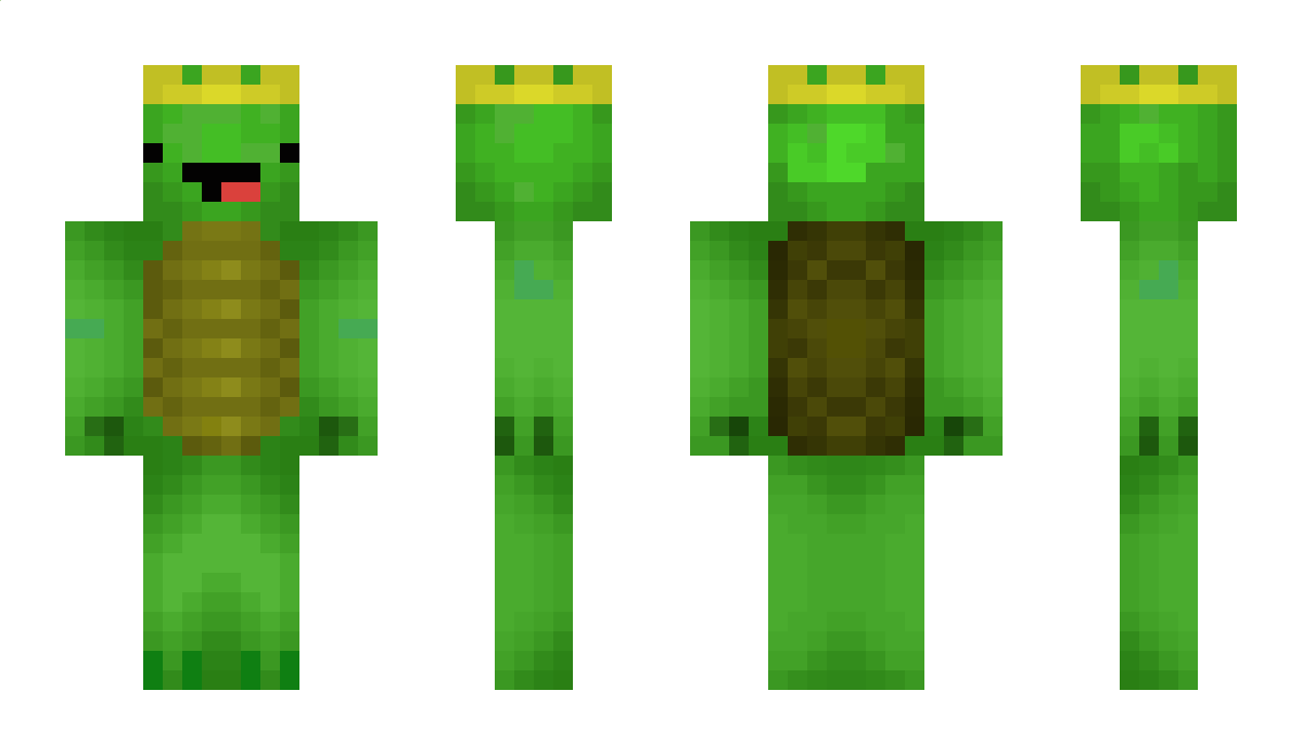 Littleturt Minecraft Skin