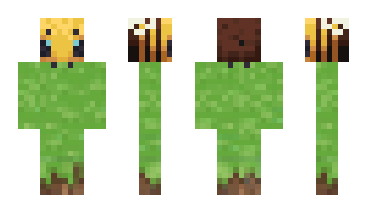 NocX Minecraft Skin