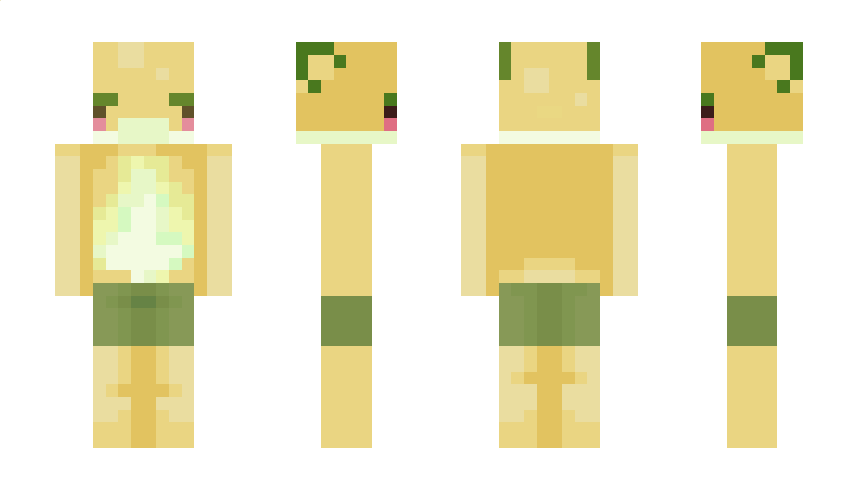 Qntn91 Minecraft Skin