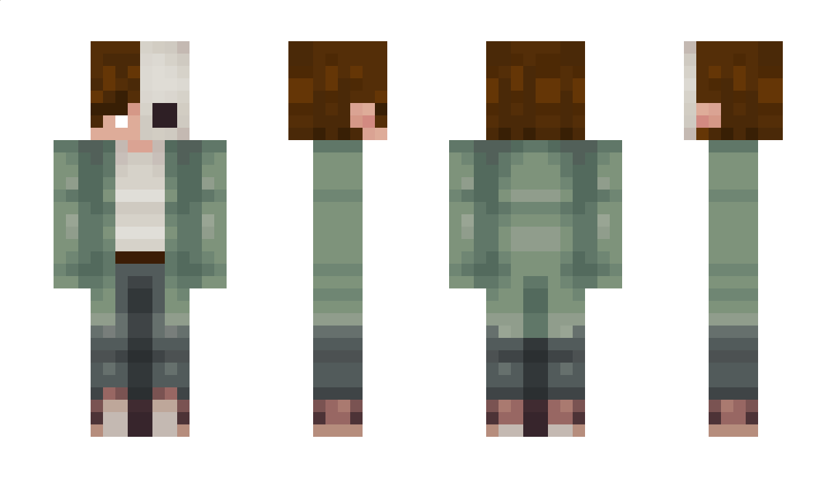 Bwear12 Minecraft Skin