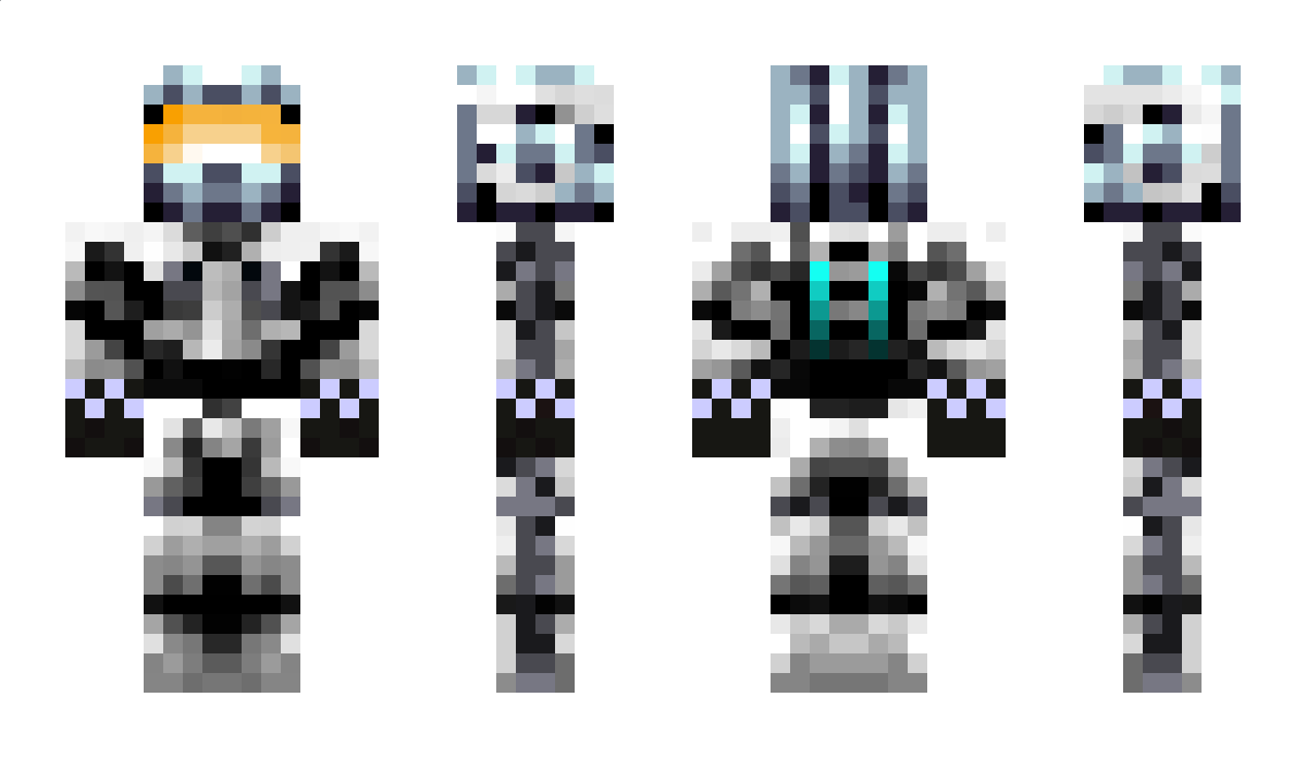 Poenix Minecraft Skin