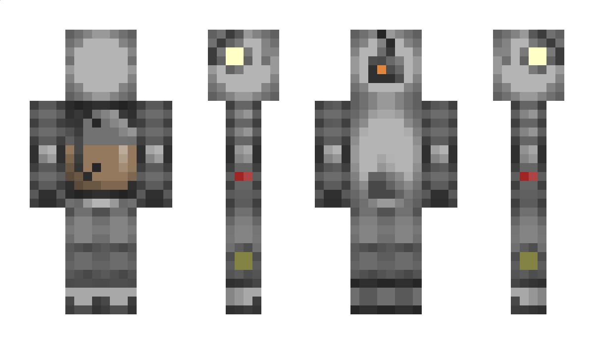 ChaoticCrafter11 Minecraft Skin