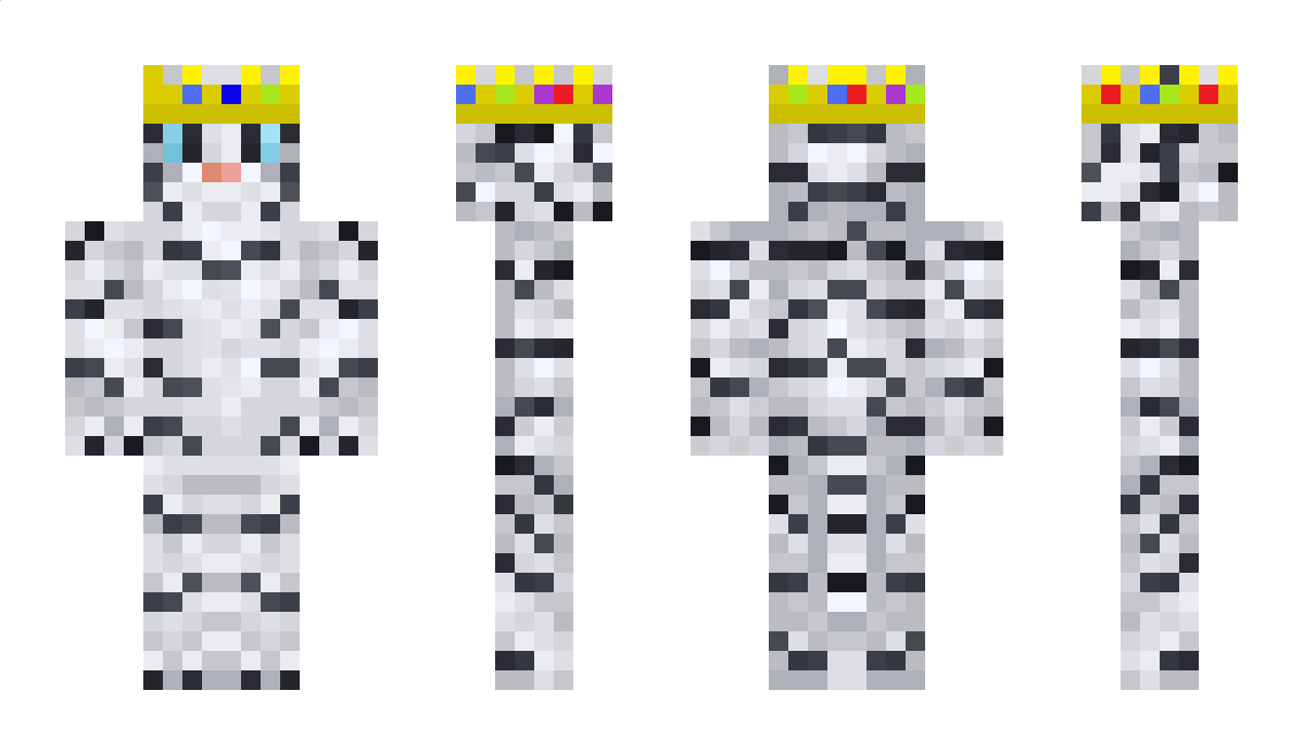 CrazyTiger9682 Minecraft Skin