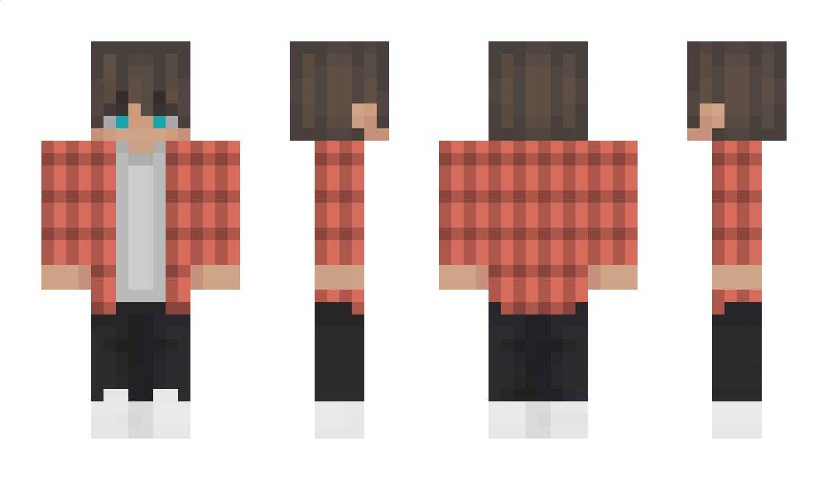 Pixifly Minecraft Skin