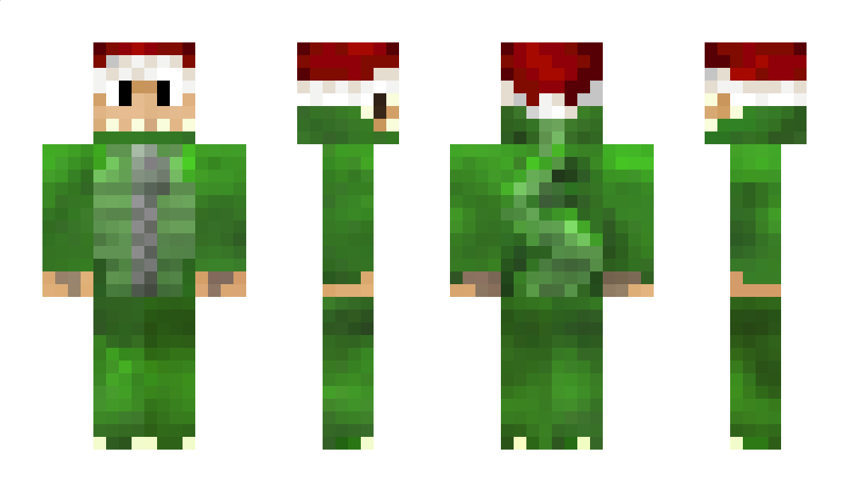 ZUBR9212 Minecraft Skin