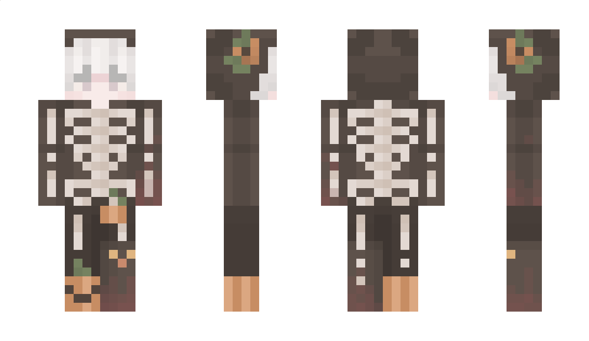 Polarjr Minecraft Skin