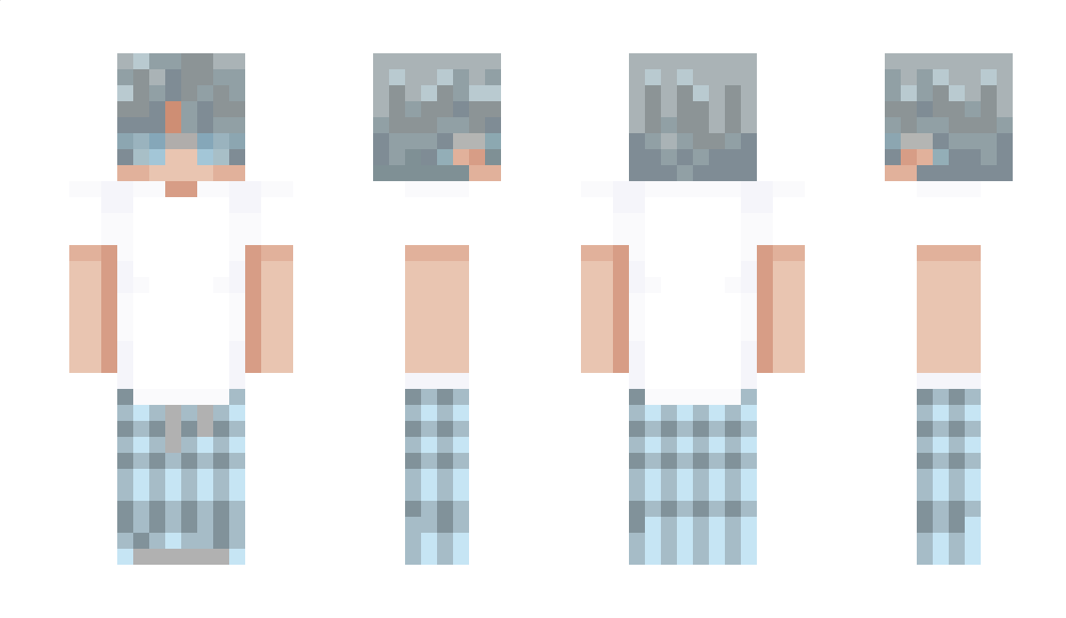 H_A_G_S_ Minecraft Skin