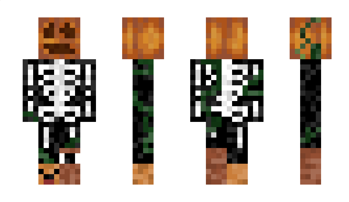 WhidderStone Minecraft Skin