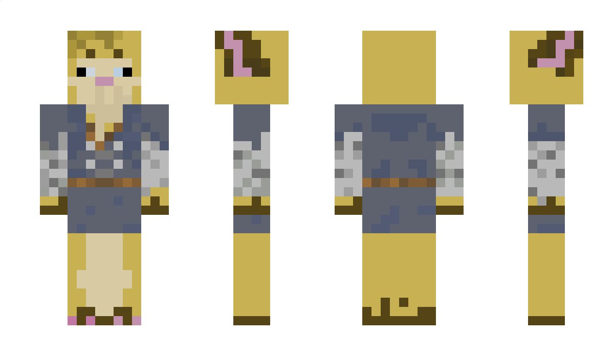 StupidCat_ Minecraft Skin