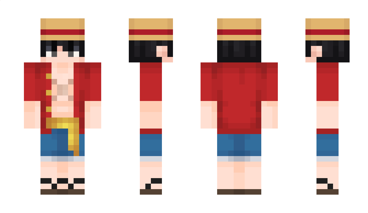 WISEZOOM Minecraft Skin